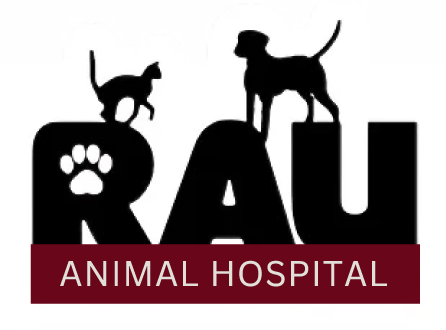 Rau Animal Hospital